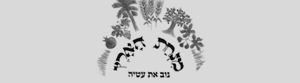 מנחת הארץ