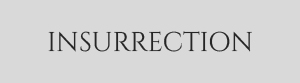 INSURRECTION